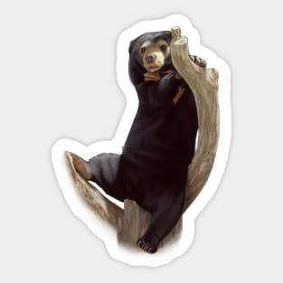 Sun Bear Sticker